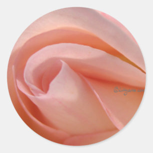 Sluit roze rode envelop Sticker