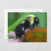 Sluiten Briefkaart (Voorkant / Achterkant)