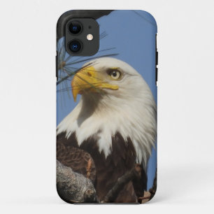 Sluiten Hoofd Shot of Bald Eagle iPhone 11 Hoesje