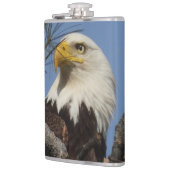 Sluiten Hoofd Shot of Bald Eagle Heupfles (Links)