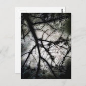 Sluiten in briefkaart (Voorkant / Achterkant)