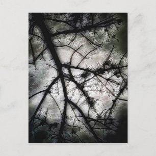 Sluiten in briefkaart