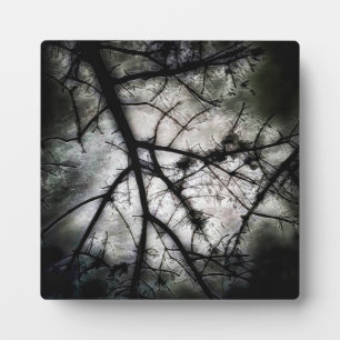 Sluiten in fotoplaat