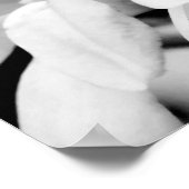 Sluiten Magnolia Blooms Art Poster (Hoek)