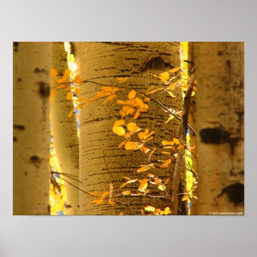 Sluiten maken poster (Voorkant)