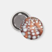 Sluiten Octopus sluiten Magneet (Voorkant / Achterkant)