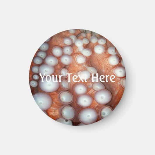 Sluiten Octopus sluiten Magneet (Voorkant)