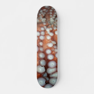 Sluiten Octopus sluiten Skateboard