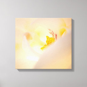 Sluiten orchidee macro stunnel canvas afdruk