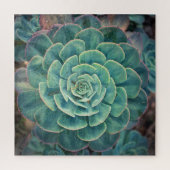 Sluiten Succulent Legpuzzel (Verticaal)