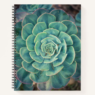 Sluiten Succulent Notitieboek