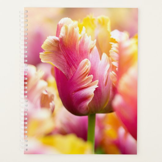 Sluiten Tulips Planner (Voorkant)