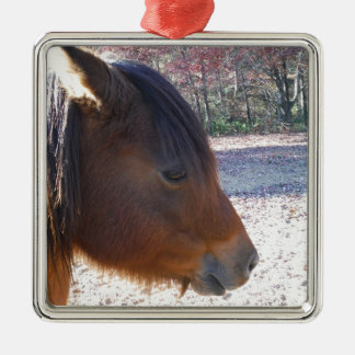 Sluiten van bruin paard, Little Brown Pony Metalen Ornament