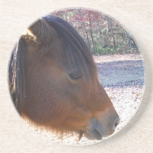 Sluiten van bruin paard, Little Brown Pony Zandsteen Onderzetter