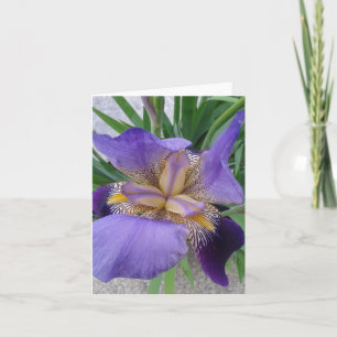 Sluiten van de Blooming Iris Flower Kaart