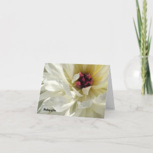 Sluiten van de Creamy White Peony Flower Sympathie Kaart