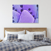 Sluiten van Diatomfrustulae (Mlychenensis) Canvas Afdruk (Insitu (Slaapkamer))