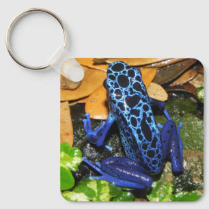 Sluiten van een blauw-poisdart kikker sleutelhanger
