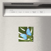 Sluiten van een Blauwe Morpho Butterfly op een pal Magneet (Insitu (Vaatwasser))