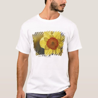 Sluiten van een Geel/Oranje Daffodil T-shirt