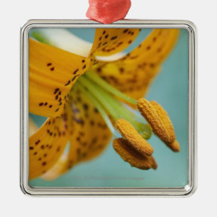 Sluiten van een gele Lily Metalen Ornament
