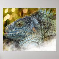 Sluiten van een grote, scalygreen Iguana hagedis