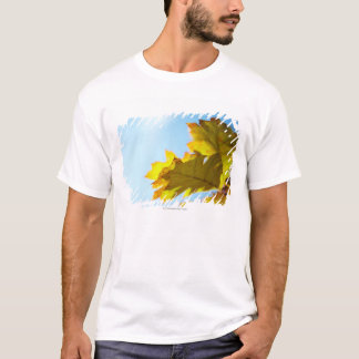 Sluiten van gele kleppen t-shirt
