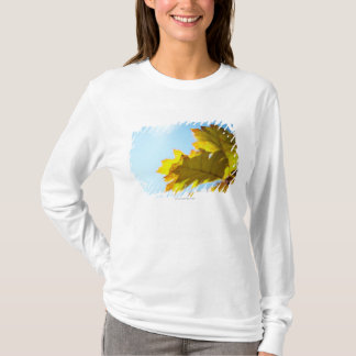 Sluiten van gele kleppen t-shirt