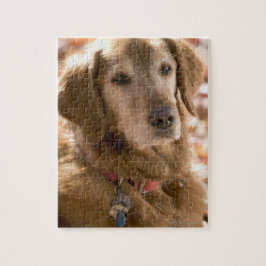 Sluiten van gouden labrador rekhondenhond legpuzzel