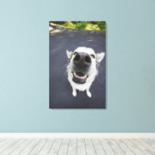 Sluiten van husky's neus canvas afdruk (Insitu (Houten vloer))