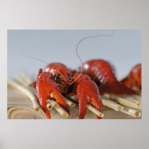 Sluiten van krab op stokken poster