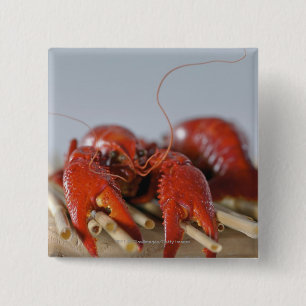 Sluiten van krab op stokken vierkante button 5,1 cm