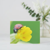 Sluiten van Ladybug Briefkaart (Staand voorkant)