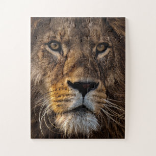 Sluiten van leeuw, volwassen man legpuzzel