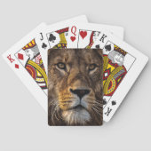 Sluiten van leeuw, volwassen man pokerkaarten (Achterkant)