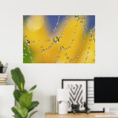 Sluiten van spinweb met dauwdruppels poster (Thuiskantoor)