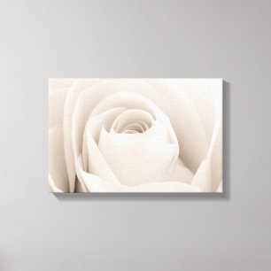 Sluiten van White Rose Petals Canvas Afdruk