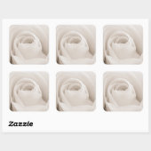 Sluiten van White Rose Petals Vierkante Sticker (Vel)