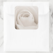 Sluiten van White Rose Petals Vierkante Sticker (Tas)