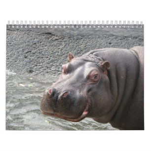 Sluiten van wilde dierengezichten in 2014 kalender