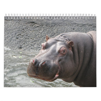 Sluiten van wilde dierengezichten in 2014 kalender