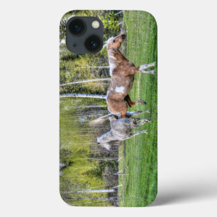 Sluitend palomineverf en witte paarden, paardenlie iPhone 13 hoesje