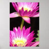 sluiting poster (Voorkant)