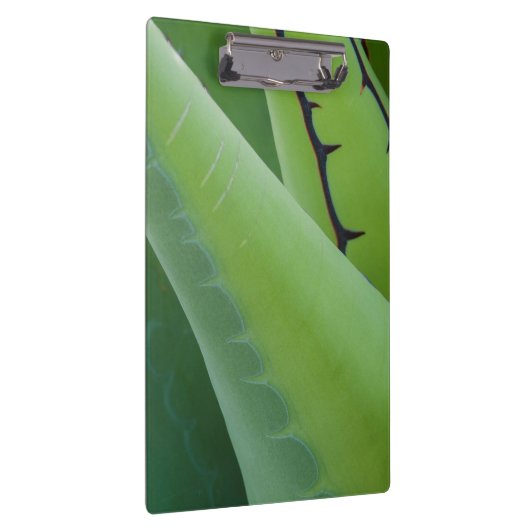 Sluiting van Agave Klembord (Rechts)