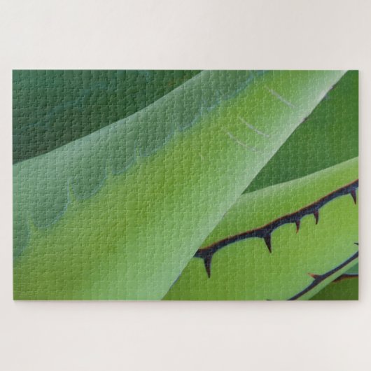 Sluiting van Agave Legpuzzel (Horizontaal)