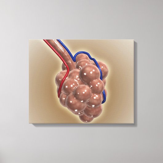 sluiting van Alveolus Canvas Afdruk (Voorkant)