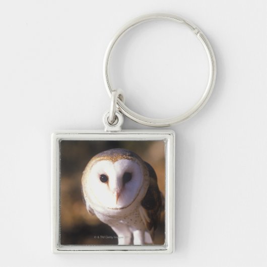 "Sluiting van Barn Owl, Land between Lakes, KY" Sleutelhanger (Voorkant)