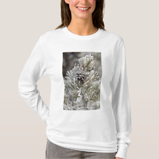 Sluiting van bevroren dennenkegel, geelsteen t-shirt