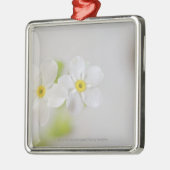 Sluiting van bloemen metalen ornament (Links)