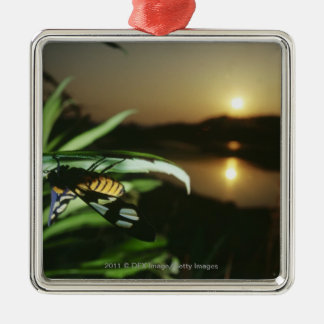 Sluiting van Butterfly op blad bij zonsondergang Metalen Ornament